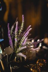 somerstown_basementbar-85.jpeg