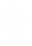 SF LOGO.png