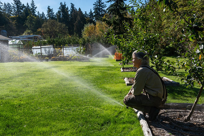 Island Waterwise Irrigation 05-Oct-2025 -138.jpg