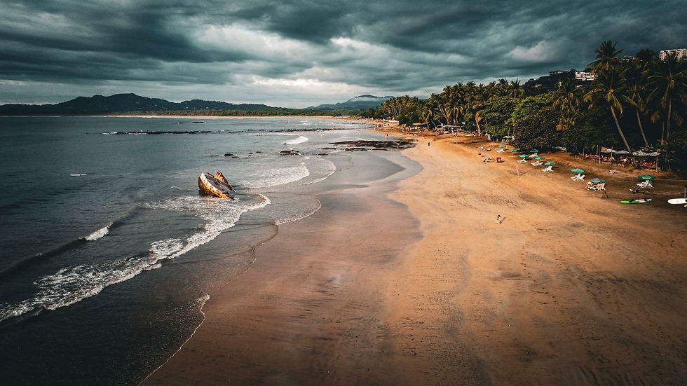 dji_fly_20241129_161256_967_1732918449592_photo_optimized.jpg