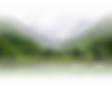 Asset 2.png