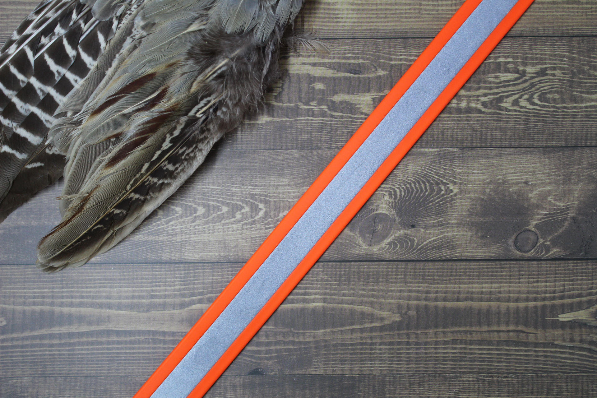 GRIFFPROOF Reflective Series Collar