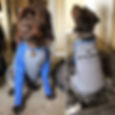 Griff Collars & Co.’s top model, Griffie Lee