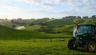 DSCF0535_edited.jpg