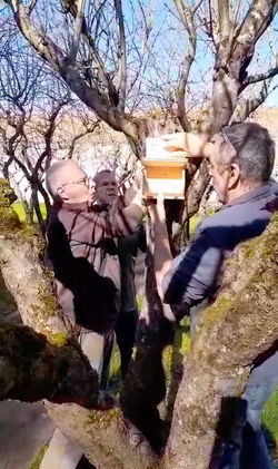 Jardin de répit au MIDAN