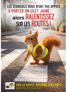 Campagne Gilet Jaune pour les écureuils roux.png