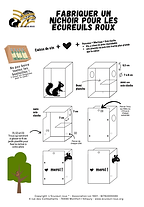 Tuto nichoirs Ecureuil roux