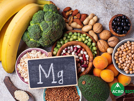 The Essential Mineral: Why Magnesium Matters