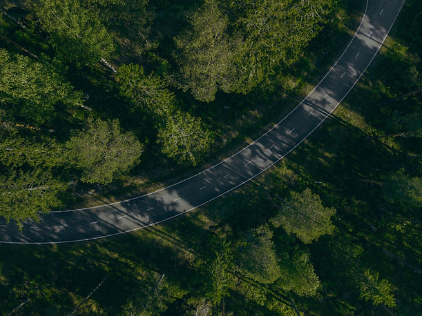 aerial-view-forest-road-summer_edited_edited.jpg