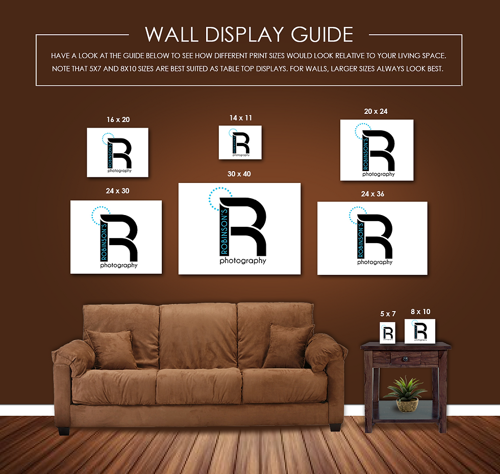 Display Guide DISPLAY GUIDE | theone