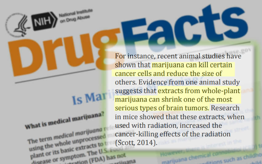 Marijuana kills cancer via National Institute of Health
