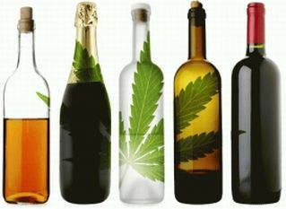 Alcohol vs Marijuana - part 1 & 2