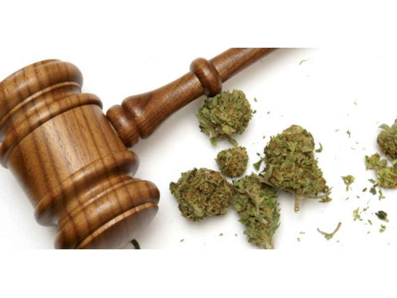 Medical marijuana laws for Seniors in Washington state