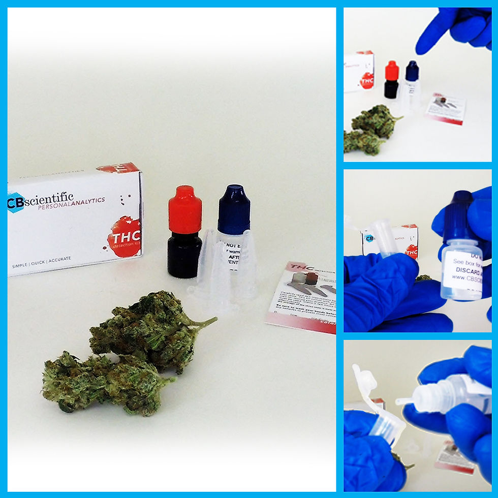 Cb Scientific Medical Marijuana safety testing kit.jpg
