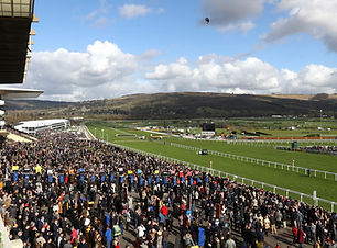 the green room cheltenham festival
