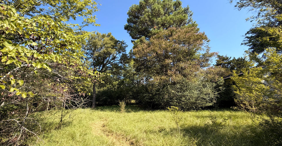 Open side yard on the half acre lot