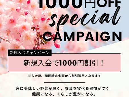 新規入会キャンペーン実施中
