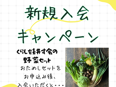 新規入会キャンペーン実施中