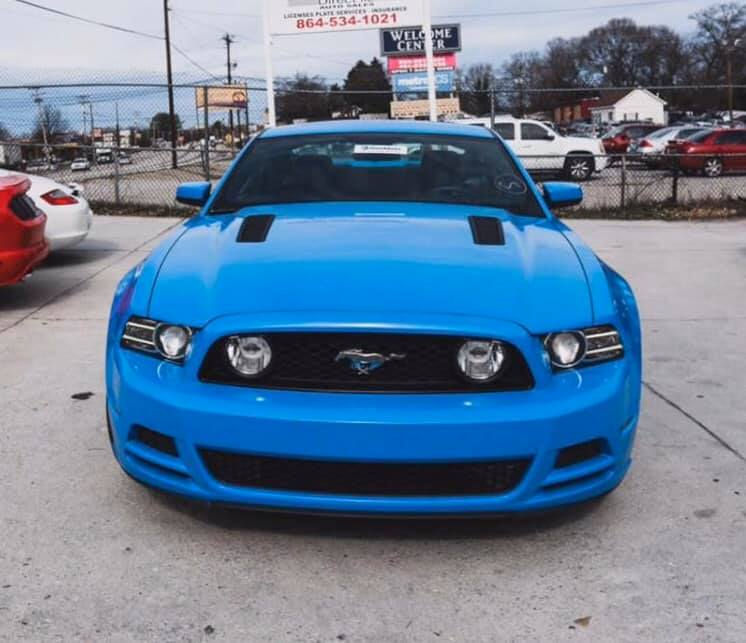 blue mustang'