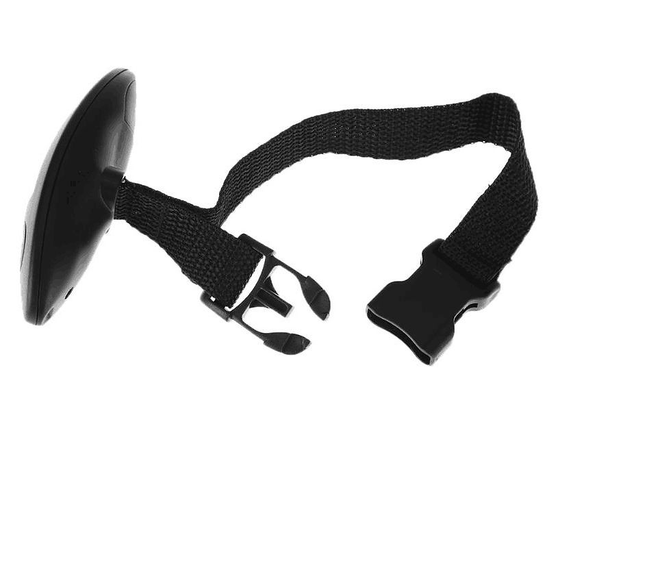 Thumbnail: Luggage Scale