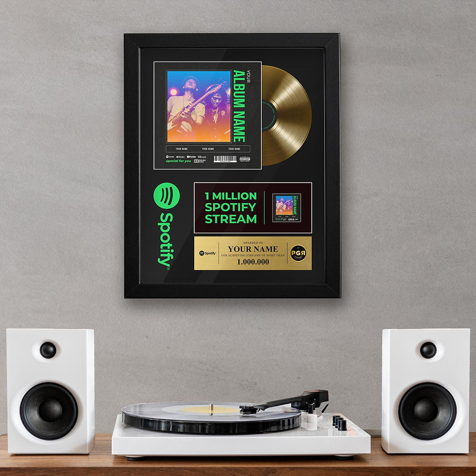 Framed Custom Album Cover & Vinyl Record Display
