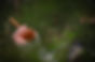 25CB83A0-8C9A-441B-B56B-7AC650916062.jpeg