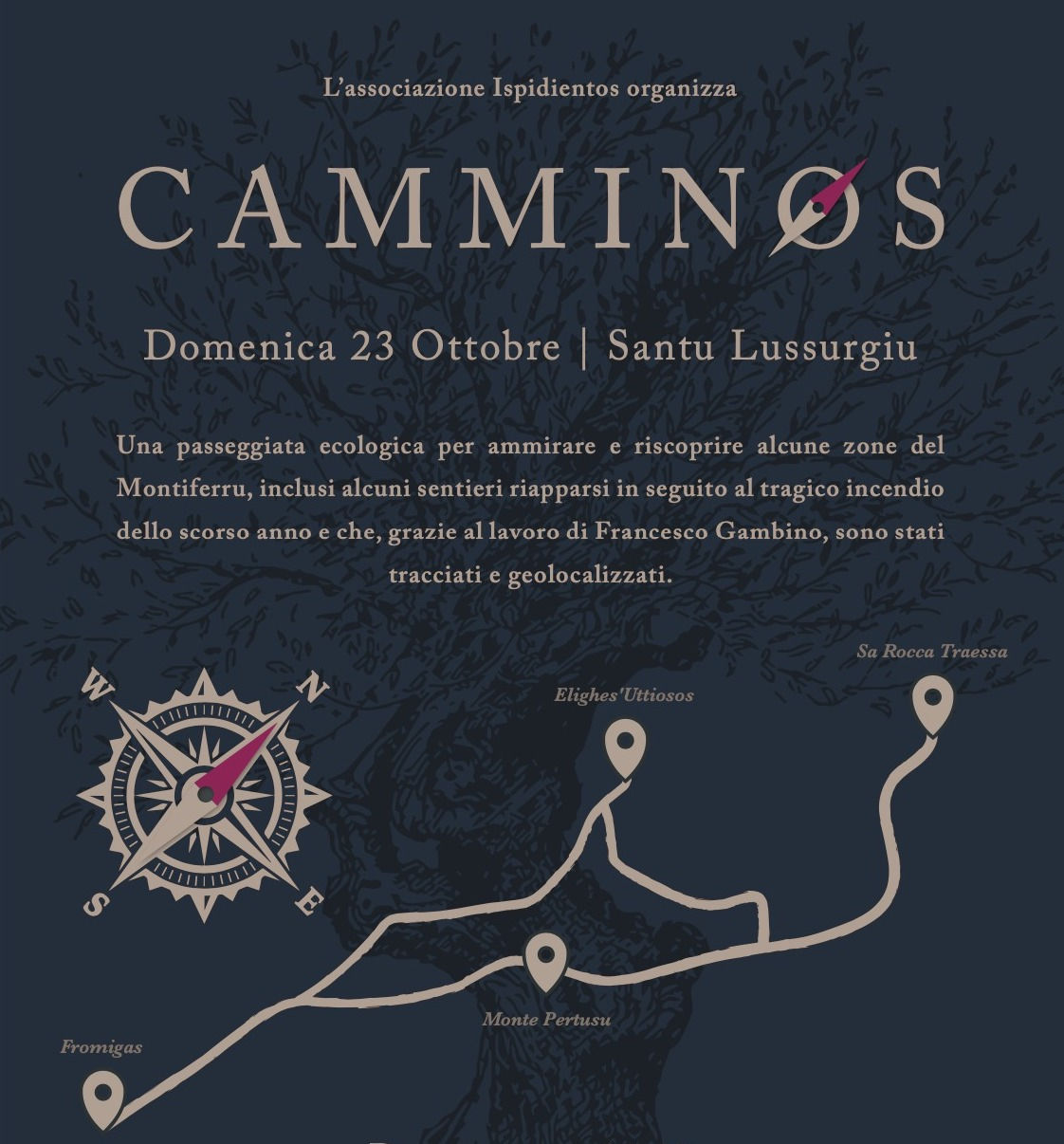 Camminos