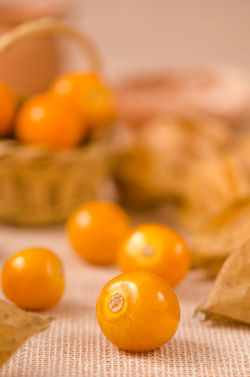 LinaCheroPhotography-golden berry