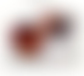 Certificado de Excelencia 2016