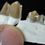 Thumbnail: Camel Pair of Teeth, Poebrotherium Fossils, Badlands S Dakota, Oligocene, P369