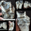 Thumbnail: Huge Titanothere Upper Molar, Fossil Tooth, Brontothere, S Dakota, Badlands T780