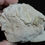 Thumbnail: Oreodont Partial Skull, Leptauchenia decora, Fossil, Badlands, Oligocene, O1564