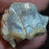 Thumbnail: Rare Dog Upper Section, Daphoenus felinus, Fossil Oligocene, South Dakota, K338
