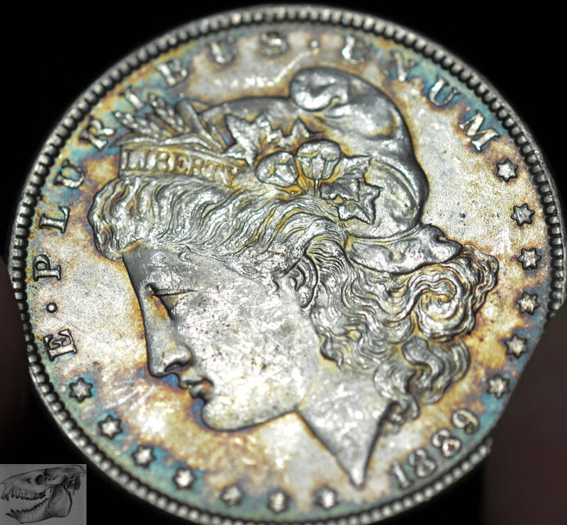 Thumbnail: 1889 Morgan Dollar, Brilliant Uncirculated, Peripheral Blue Toned Silver C6118