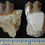 Thumbnail: Mesohippus Pair of Lower Teeth, Three Toed Horse Fossils, Oligocene Fossil, H694