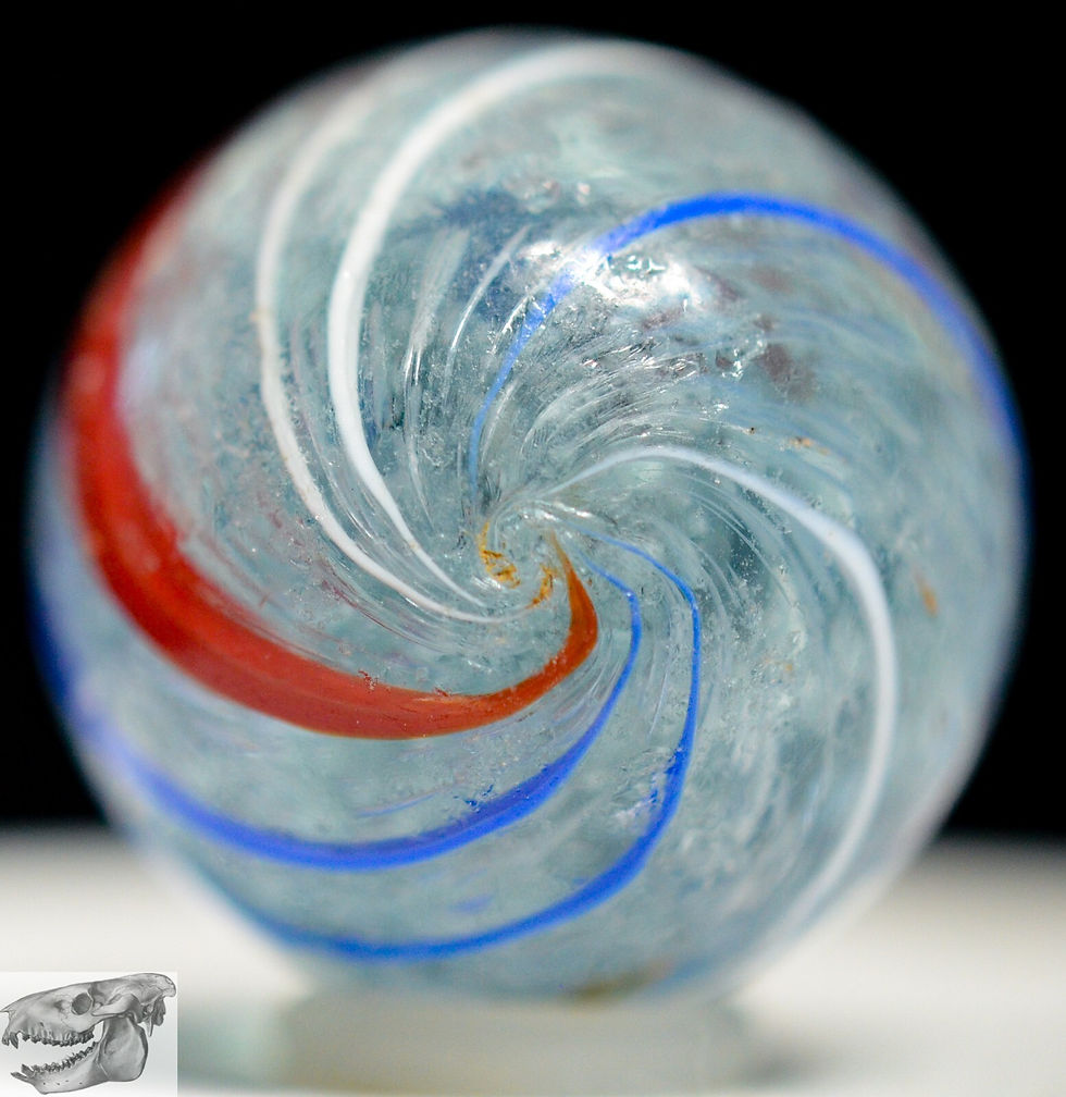 Thumbnail: Handmade Banded Swirl, Banded Transparent Marble, Shooter 15/16 inch, NM, S1205