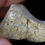 Thumbnail: Titanothere Toe Bone, Phalange, Brontothere Fossil, South Dakota, Badlands, T730