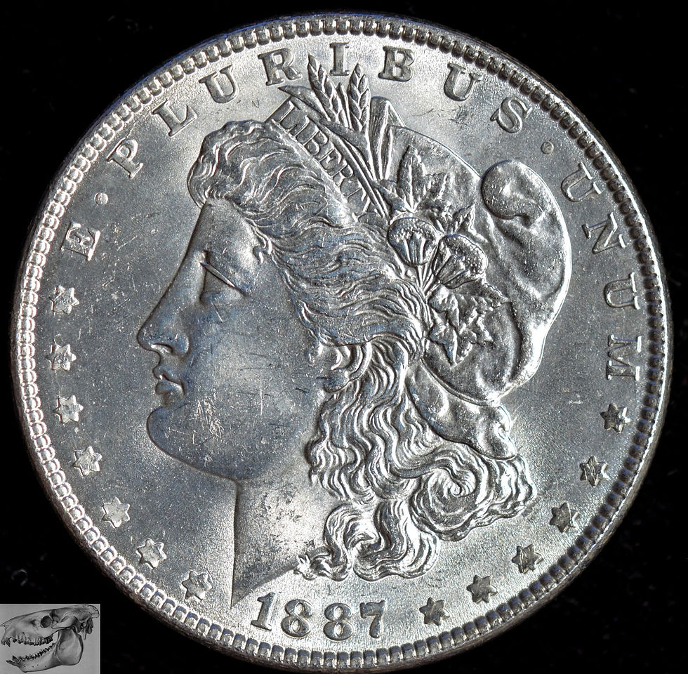 Thumbnail: 1887 Morgan Silver Dollar, Brilliant Uncirculated+ Condition, Gem, Silver, C6929