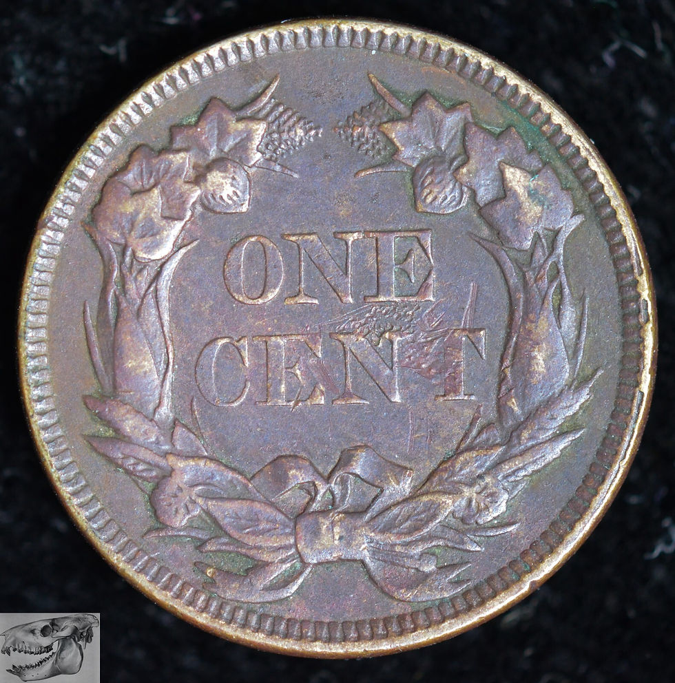 Thumbnail: 1857 Flying Eagle Cent, Extremely Fine Details, Scratch, Free Shipping, C6243