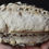Thumbnail: Hyracodon Palate, Fossil, Badlands, South Dakota Oligocene, R1003