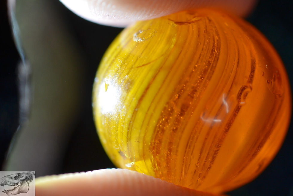 Thumbnail: Handmade Caramel Swirl Marble, Gooseberry Like, 11/16 in, Near Mint-, S984