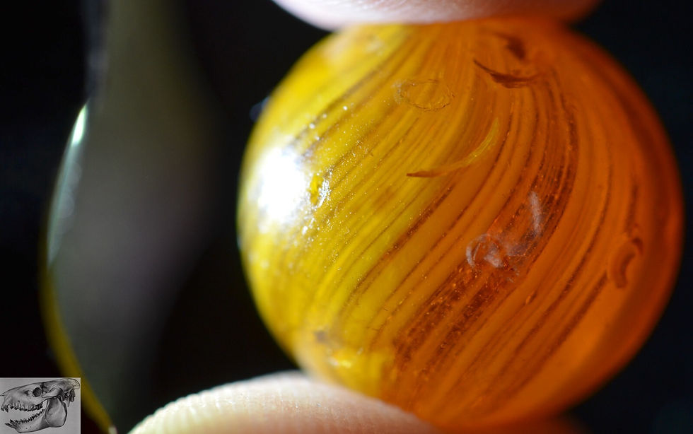 Thumbnail: Handmade Caramel Swirl Marble, Gooseberry Like, 11/16 in, Near Mint-, S984