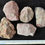Thumbnail: Five Oreodont Coprolites, Merycoidodon Fossil Poop, Badlands, South Dakota O1539