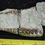 Thumbnail: Oreodont Juvenile Jaw, Fossil, Merycoidodon, Badlands, South Dakota, O1603