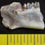 Thumbnail: Early Squirrel, Ischyromys typus, Fossil Jaw Section, Badlands, S Dakota I243