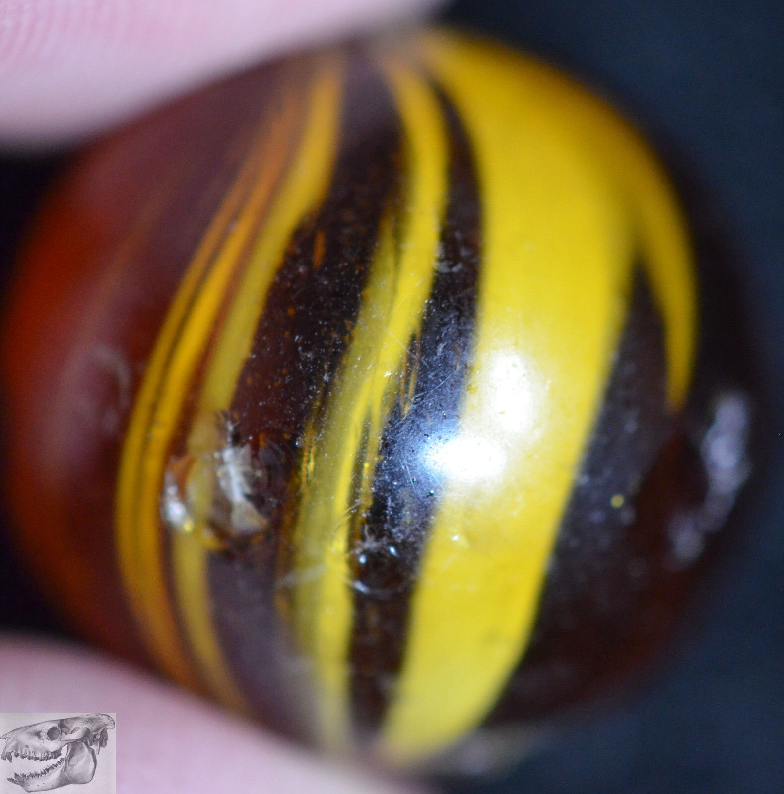 Handmade Caramel Swirl Marble, Amber Base, 11/16 in, Near Mint-, Germany, S983