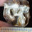 Thumbnail: Subhyracodon Upper Tooth, Badlands, South Dakota Oligocene, Free Ship R972
