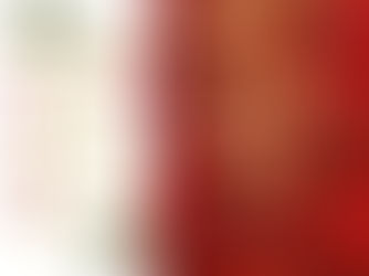 DIAS DE RECESO POR LAS FIESTAS