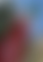 POSTALES DE LA CGIL CONMEMORANDO EL "NUNCA MÁS"