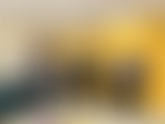 VISITA DE INCA ITALIA